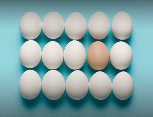 14 white eggs with one brown egg in the middle