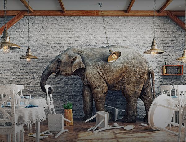 Elephant causing havoc inside a banquet hall
